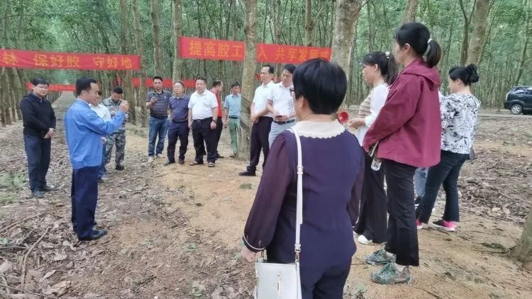 全國割膠冠軍張健給各單位學(xué)員做標準化膠園建設(shè)及割膠技術(shù)的經(jīng)驗介紹。.jpg